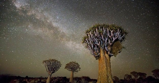 Botswana nights of a million stars