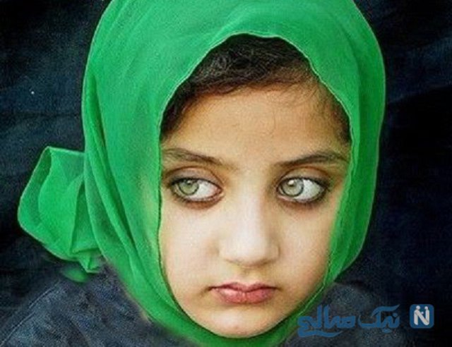 Beautiful girl most afghanistan 