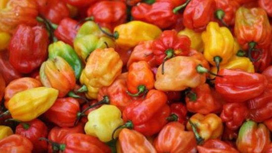 Chili peppers cut risk of developing intestinal cancer