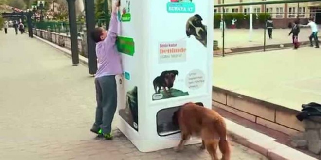 Machine Feeds Stray Dogs In Exchange For Recycled Bottles