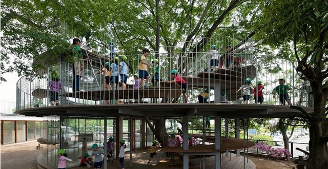 Creative Kindergarten Built Around A Tree